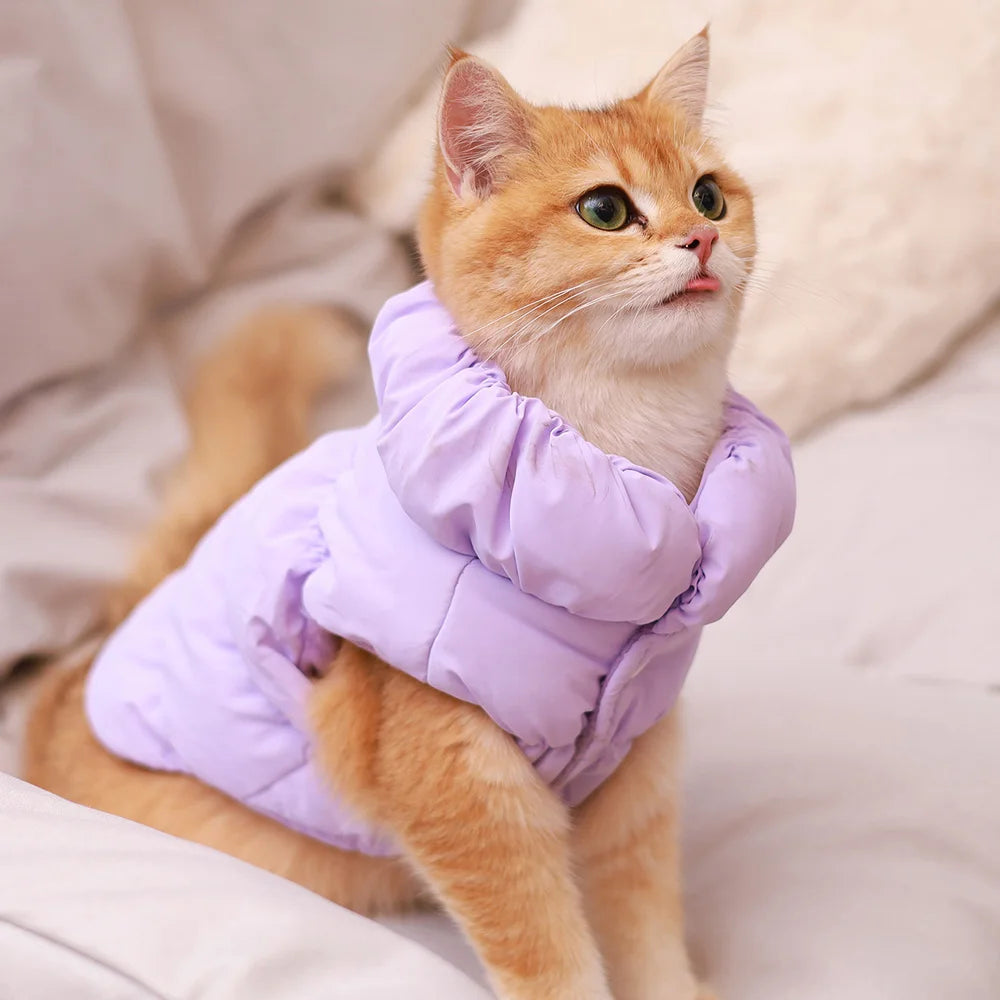 Manteau rembourré d'hiver