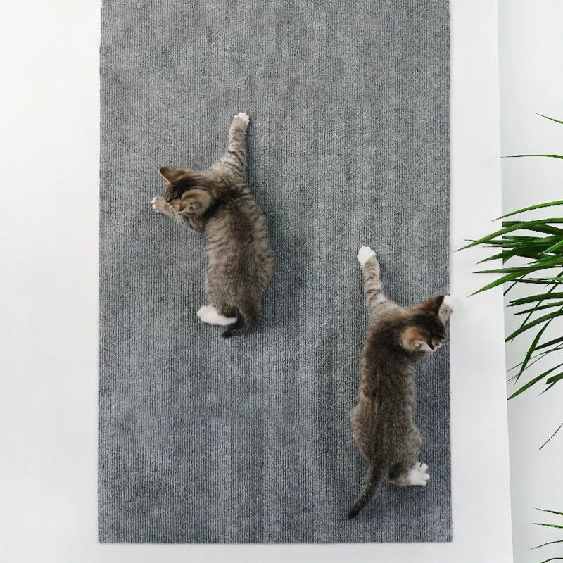Tapis griffoir auto-adhésif